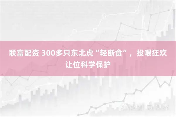 联富配资 300多只东北虎“轻断食”，投喂狂欢让位科学保护