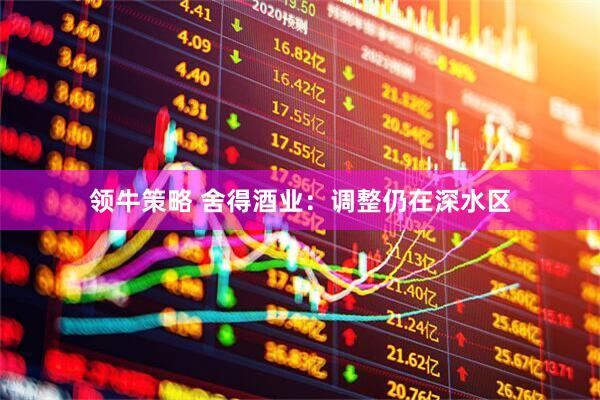 领牛策略 舍得酒业：调整仍在深水区