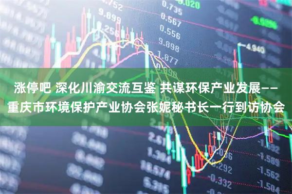 涨停吧 深化川渝交流互鉴 共谋环保产业发展——重庆市环境保护产业协会张妮秘书长一行到访协会